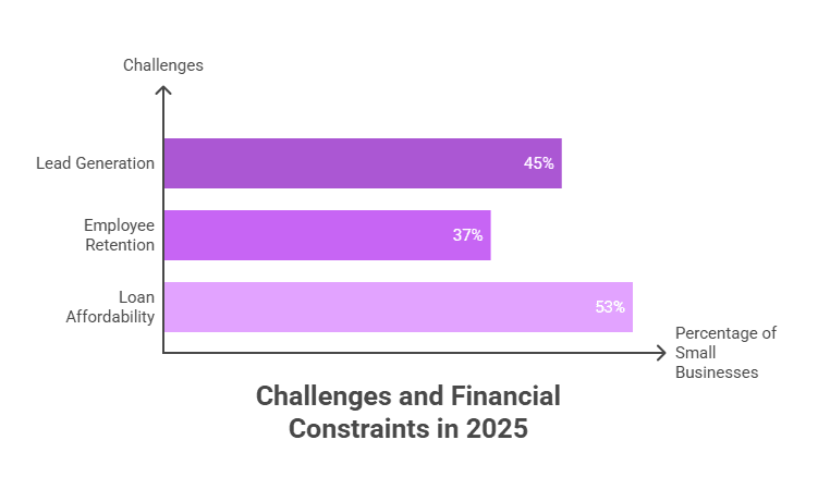 The State of Small Business Marketing in 2025.png