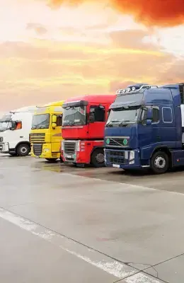 Travel & Transportation