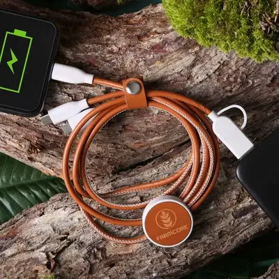 Charging Cables